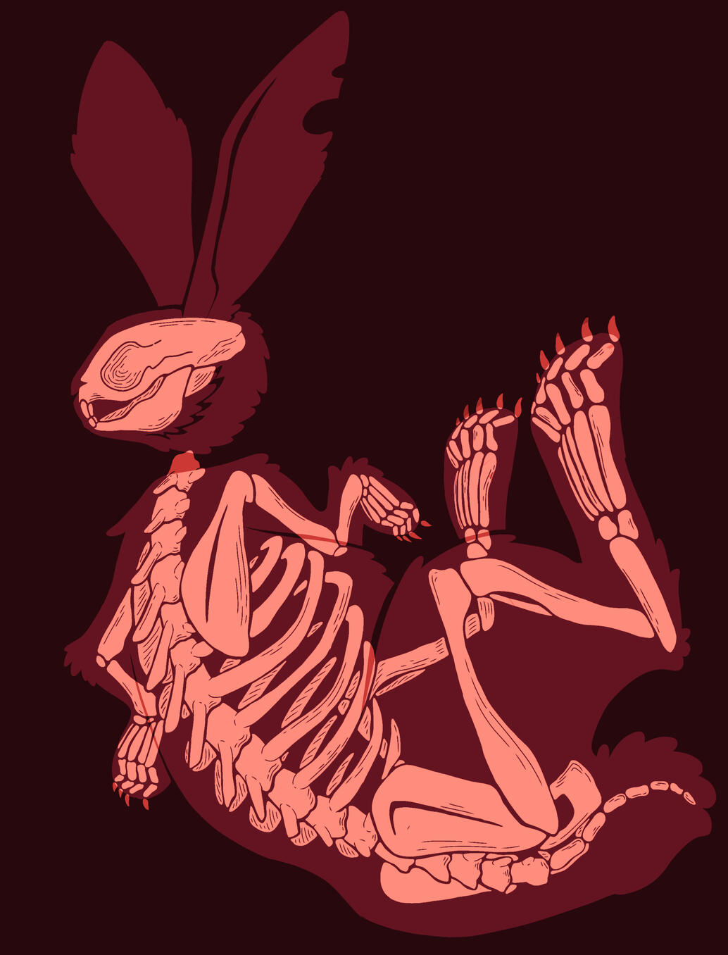 Skeleton Bunny