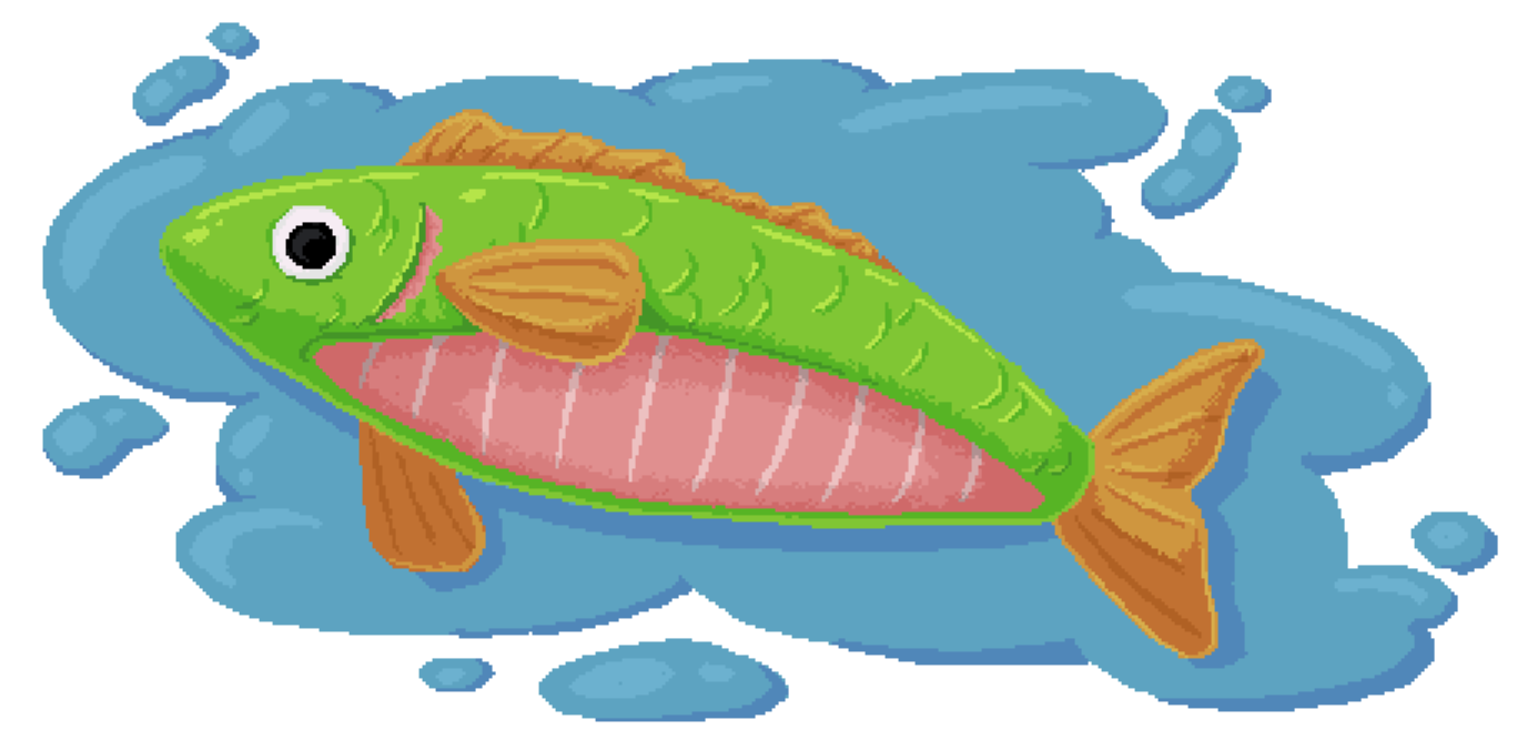 Open Fish